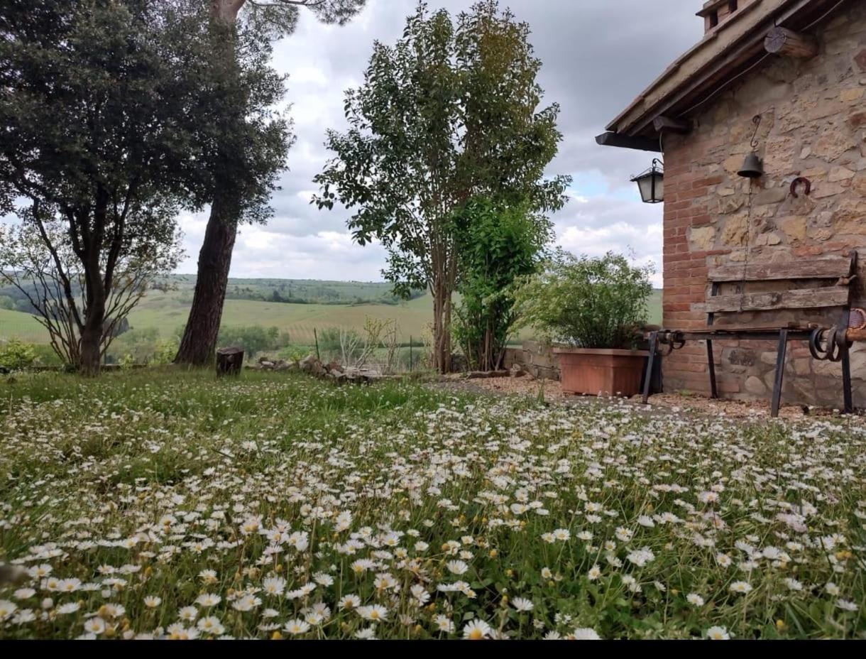锡耶纳Il Giardino Del Chianti公寓 外观 照片