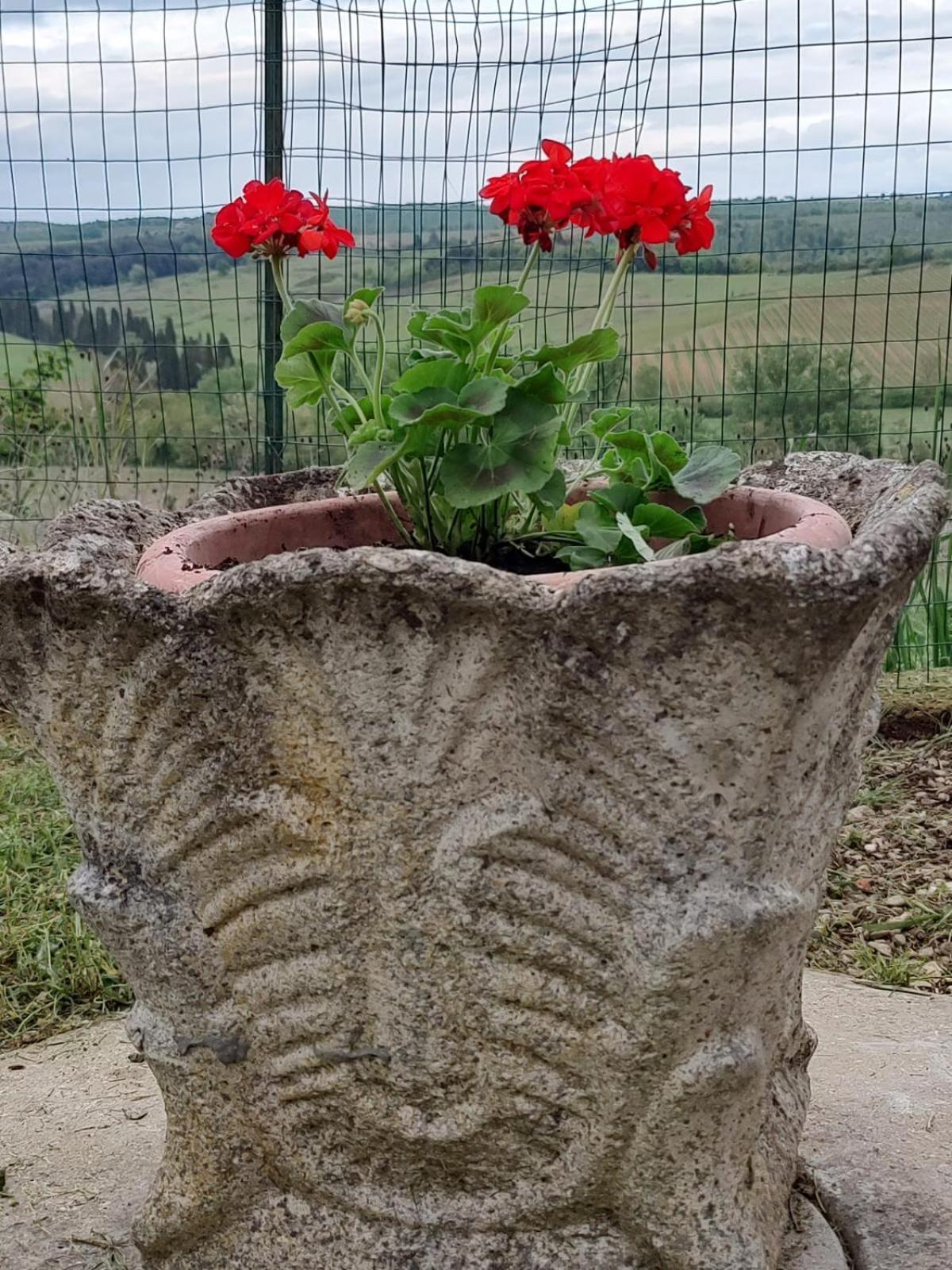 锡耶纳Il Giardino Del Chianti公寓 外观 照片